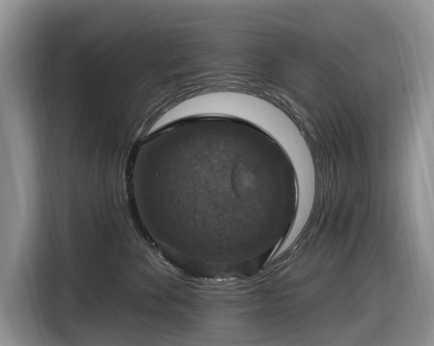 X0000116450524200912151302