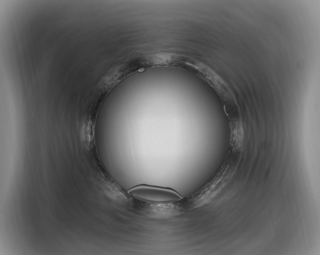 X0000116450525200912151302