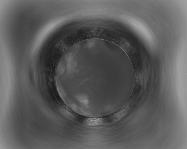 X0000116450526200912151302