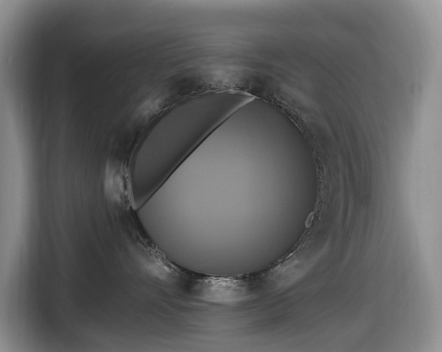X0000116450528200912151302
