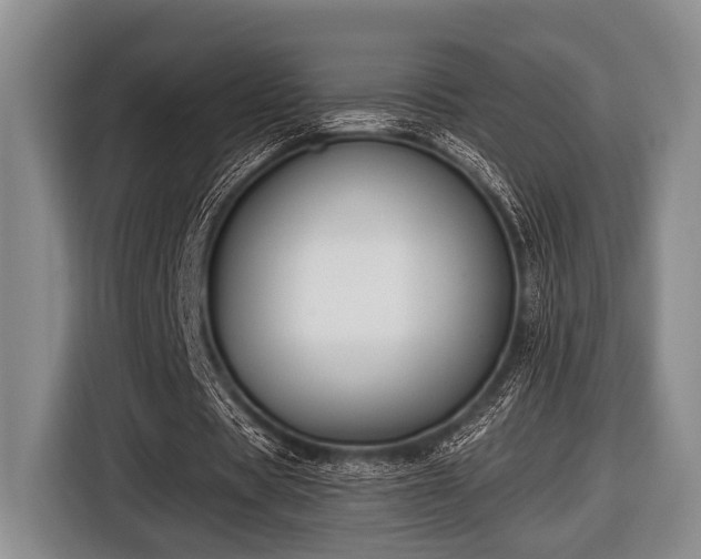 X0000116450529200912151302