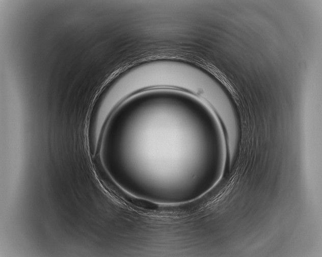 X0000116450530200912151302