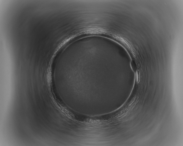 X0000116450531200912151302