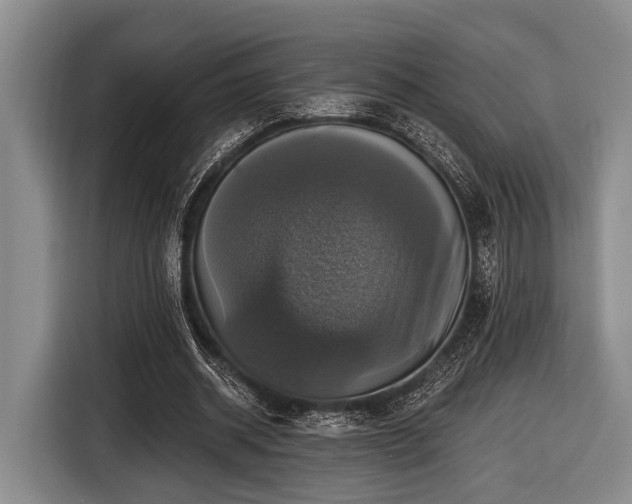 X0000116450534200912151302