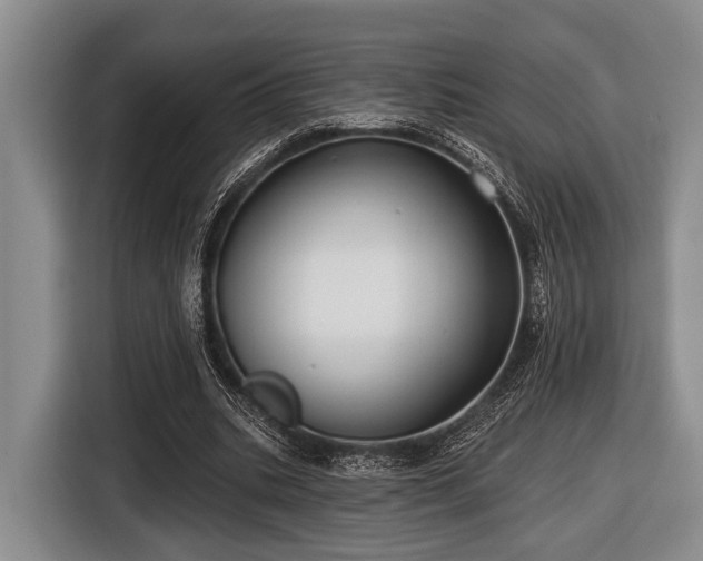 X0000116450535200912151302