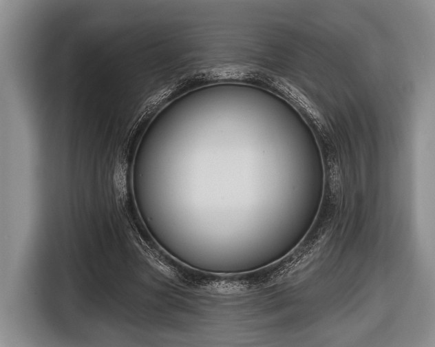 X0000116450537200912151302