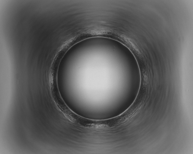 X0000116450539200912151302