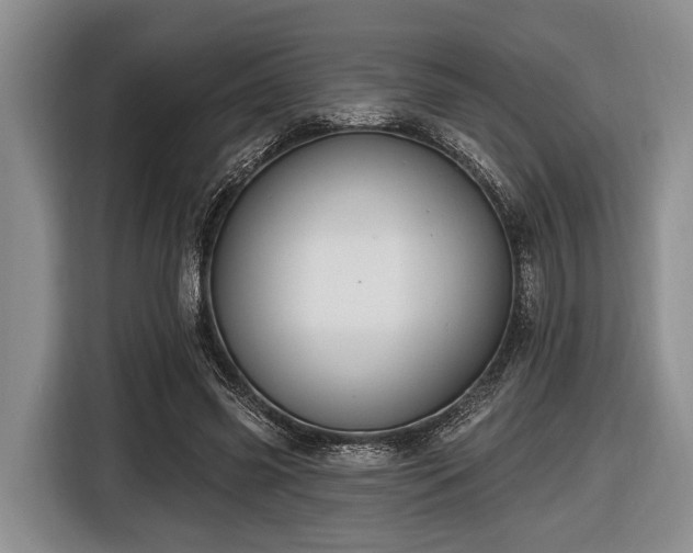 X0000116450541200912151302