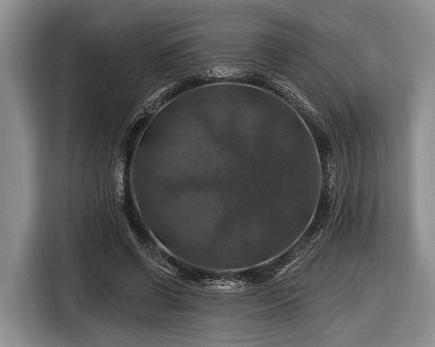 X0000116450542200912151302