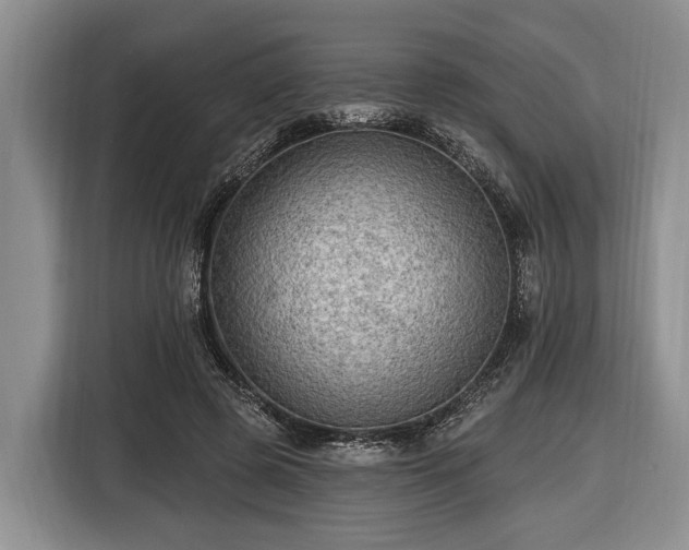 X0000116450545200912151302