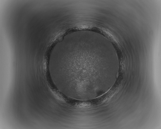 X0000116450546200912151302