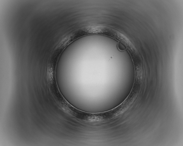 X0000116450549200912151302