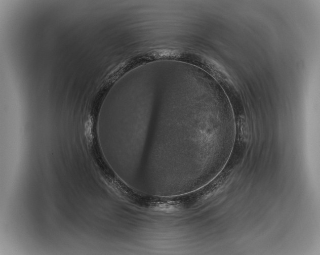 X0000116450550200912151302