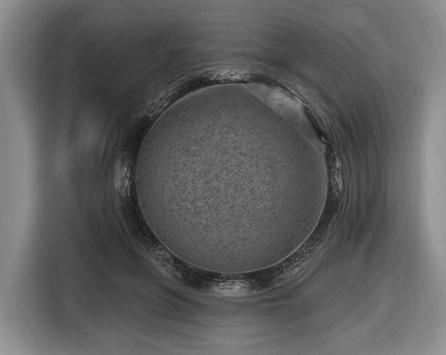 X0000116450551200912151302