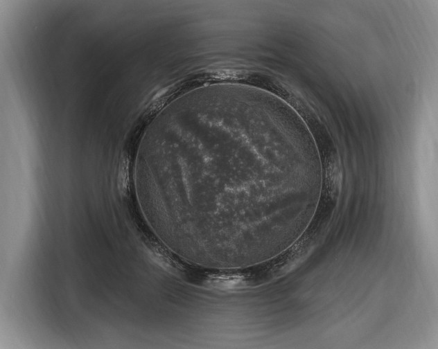 X0000116450554200912151302
