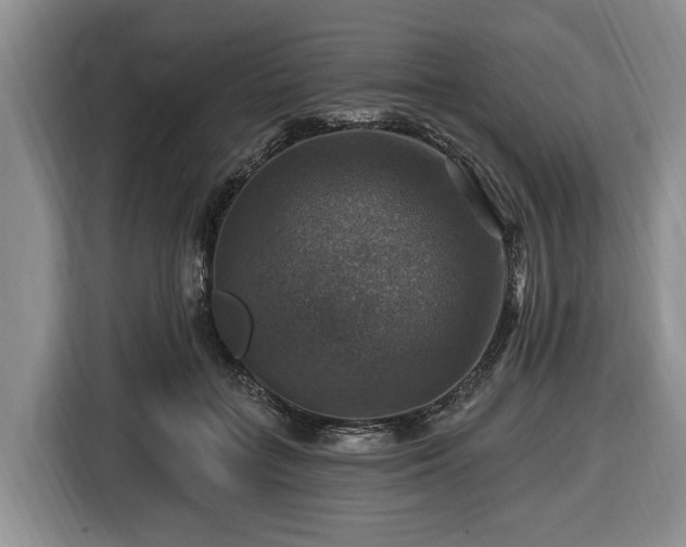 X0000116450555200912151302
