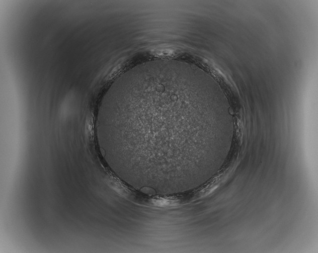 X0000116450561200912151302