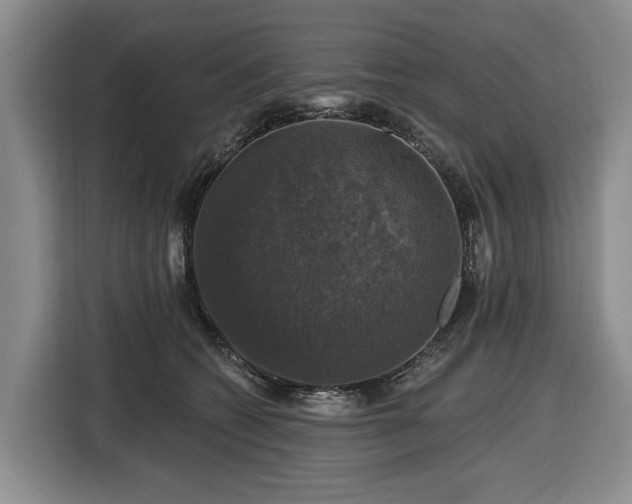 X0000116450562200912151302