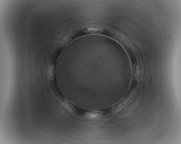 X0000116450563200912151302