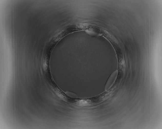 X0000116450566200912151302