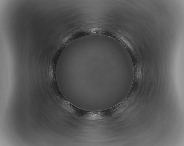 X0000116450569200912151302