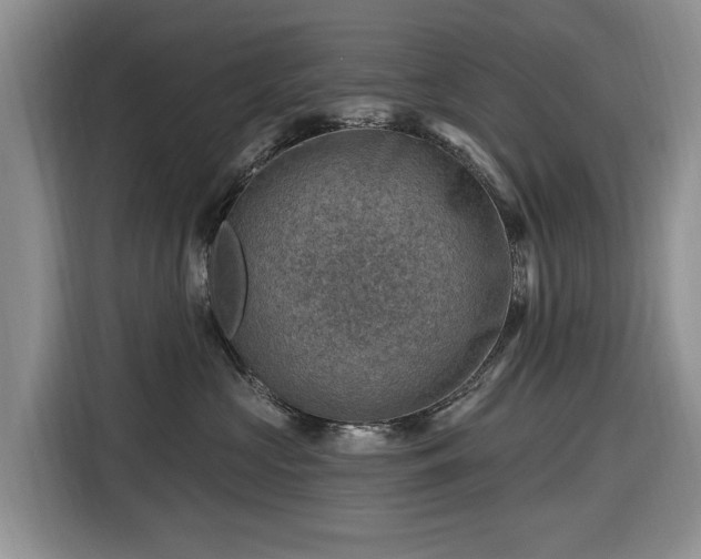 X0000116450573200912151302