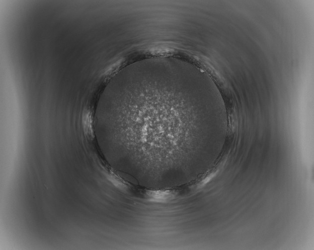 X0000116450575200912151302