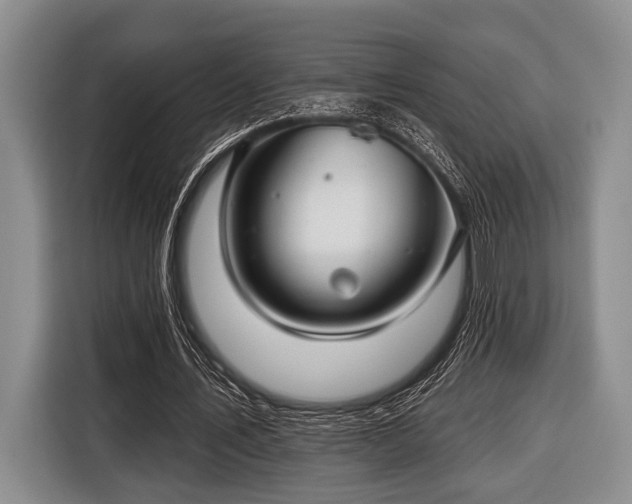 X0000116450579200912151302