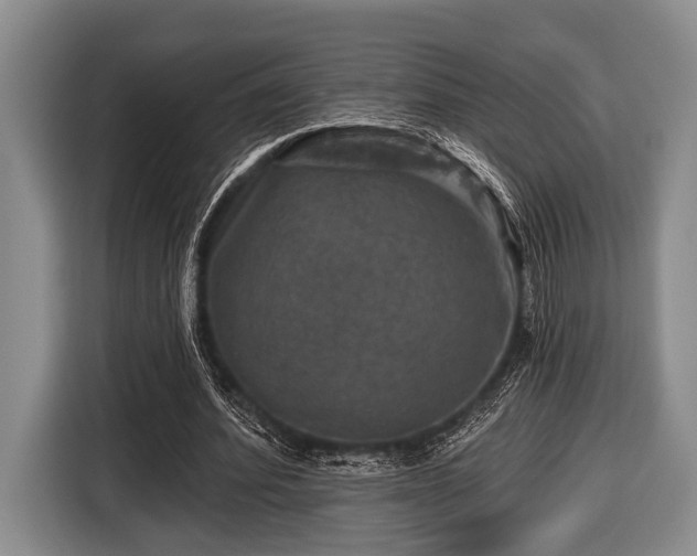 X0000116450580200912151302