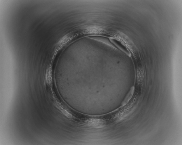 X0000116450581200912151302