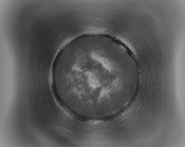 X0000116450582200912151302