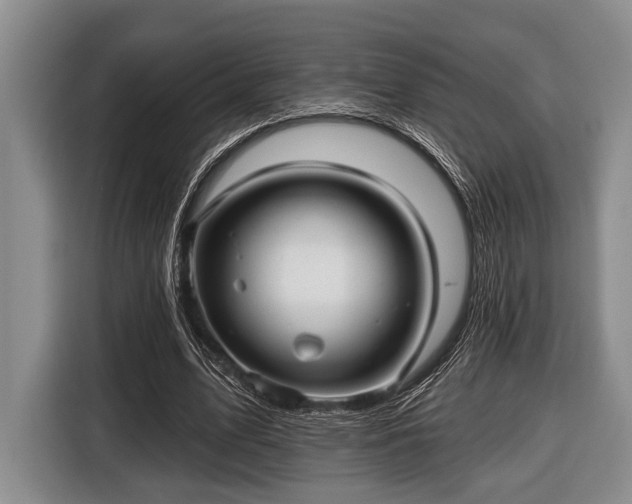 X0000116450583200912151302