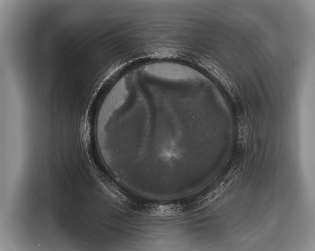X0000116450584200912151302