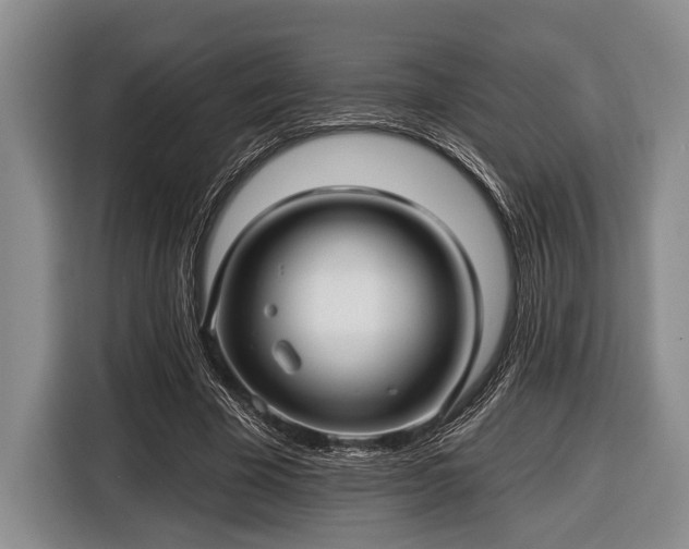 X0000116450585200912151302