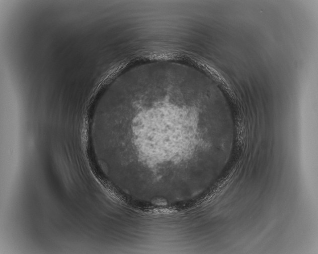 X0000116450586200912151302