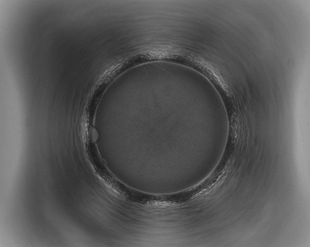 X0000116450590200912151302