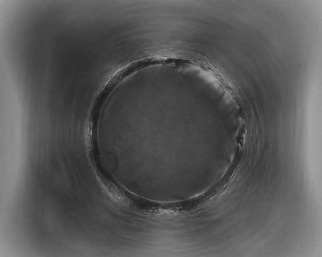 X0000116450592200912151302