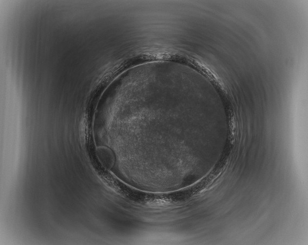 X0000116450594200912151302