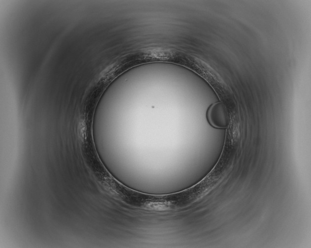 X0000116450595200912151301