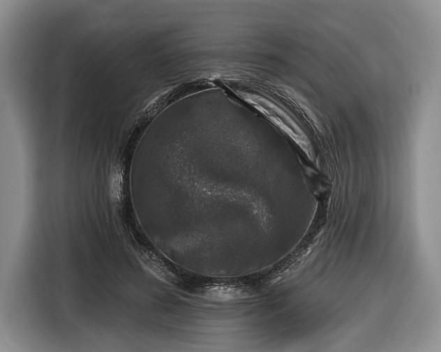 X0000116450596200912151301