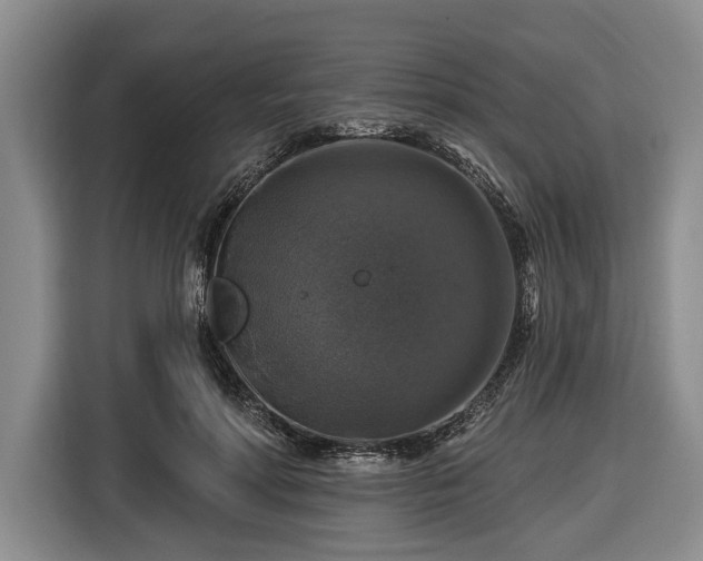 X0000116450598200912151301