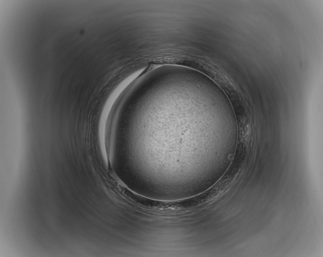 X0000116450599200912151301