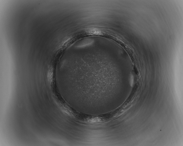 X0000116450600200912151301