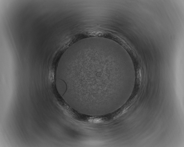 X0000116450602200912151301