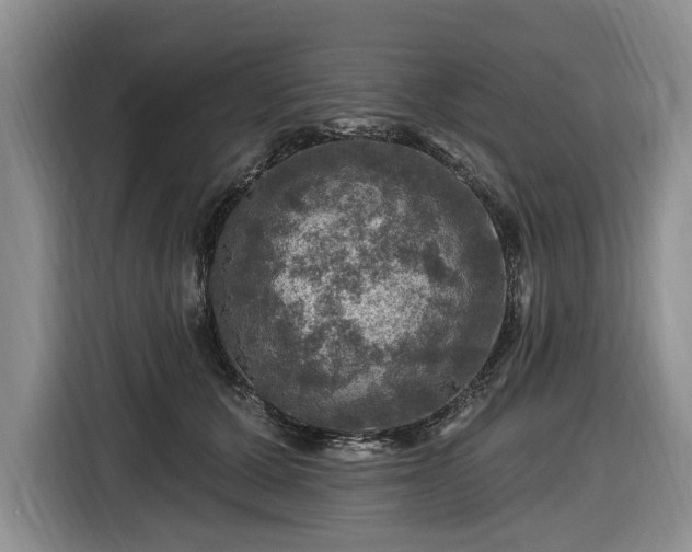 X0000116450607200912151301