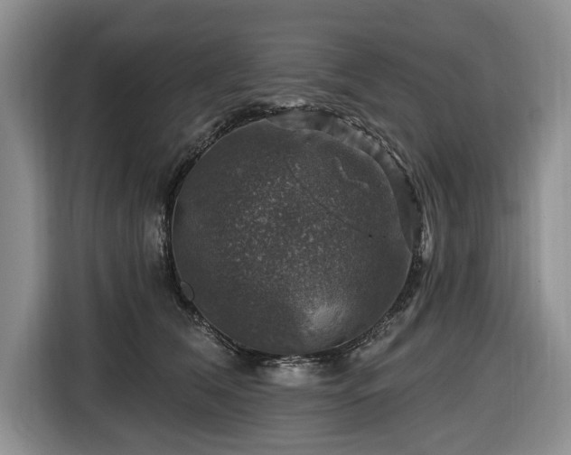 X0000116450612200912151301