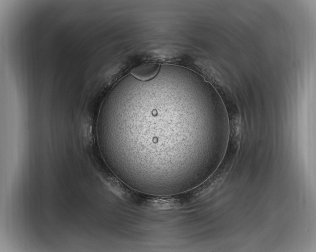X0000116450615200912151301