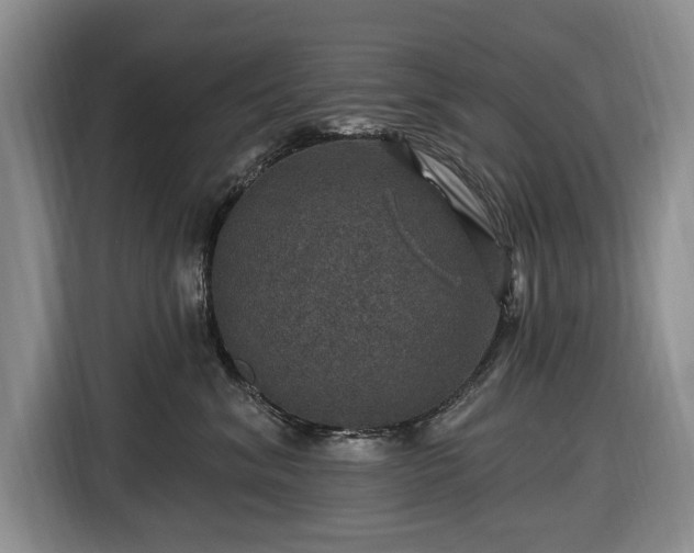 X0000116450620200912151301