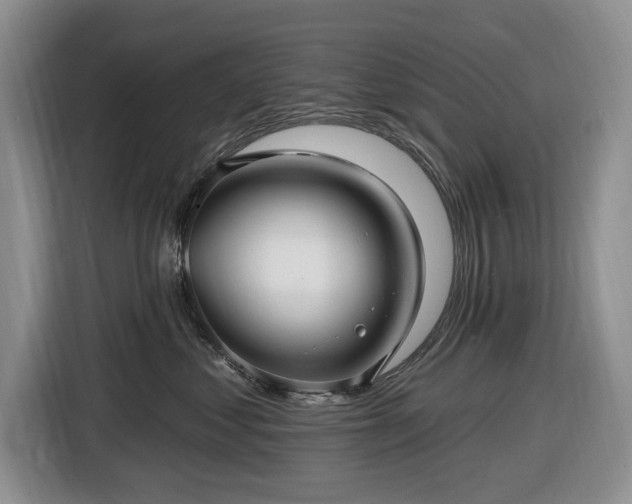 X0000116450621200912151301