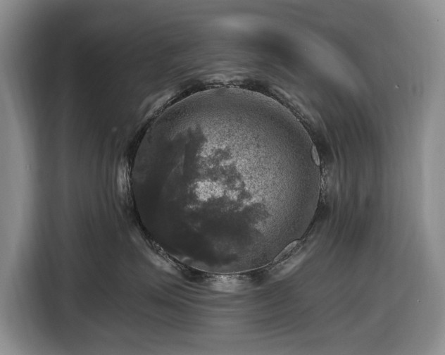X0000116450623200912151301